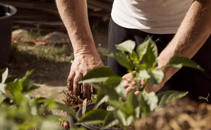 Lebendiger Gartenbau - So funktioniert Bodengesundheit wirklich