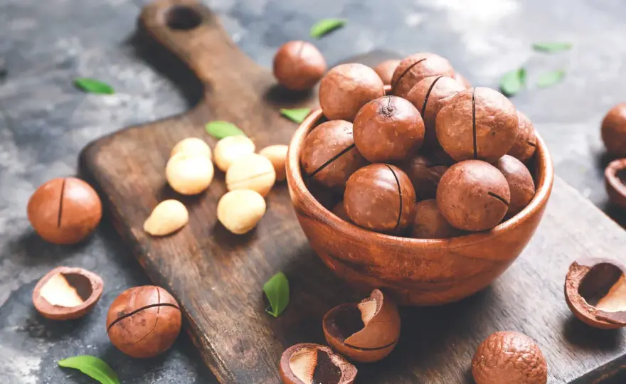 Noci di macadamia - Funzionali, non di moda: la guida completa