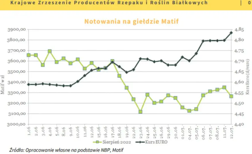 Rzepak w skupie 2026: Jak uzyskać najlepszą cenę?