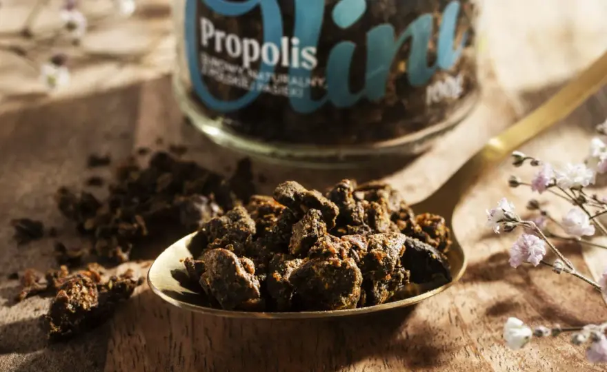 Propolis - właściwości, zastosowanie i na co uważać