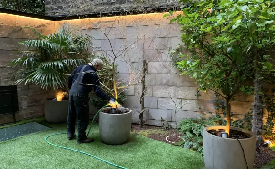 Petit jardin - Créez un espace qui respire !
