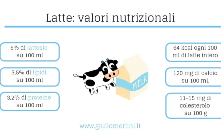 Latte intero - calorie, porzioni e differenze da sapere