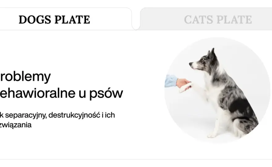 Problemy behawioralne u psa - Jak pomóc bez karania?