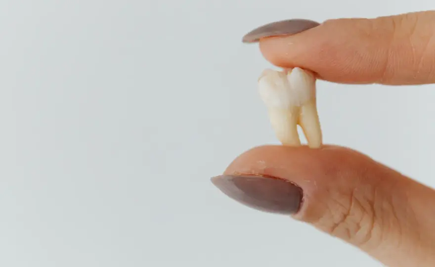 Co dentysta robi z wyrwanym zębem? Oto co musisz wiedzieć