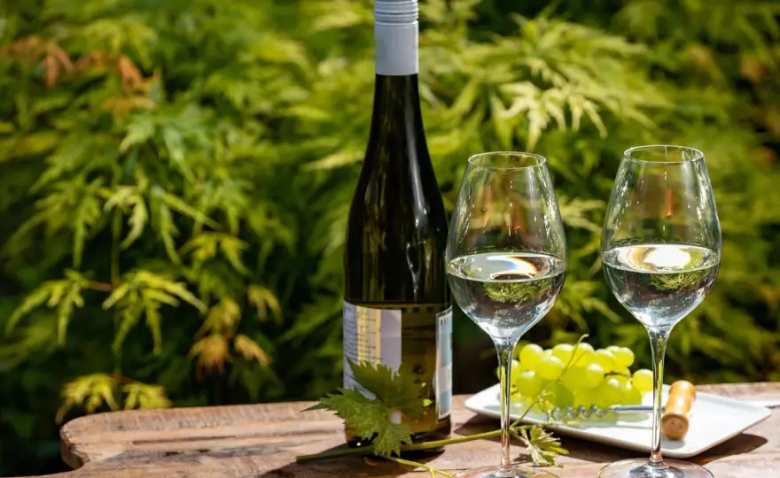 Riesling et Mets: Les Accords Parfaits pour Chaque Style
