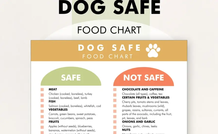 Safe Vegetables for Dogs - What to Feed & What to Avoid