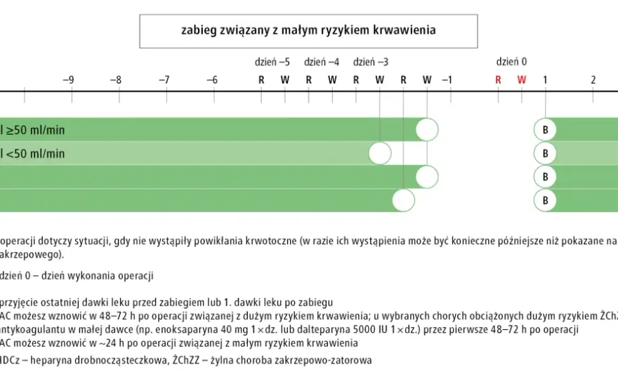 Apiksaban - Jak brać bezpiecznie? Dawkowanie, interakcje i ryzyka