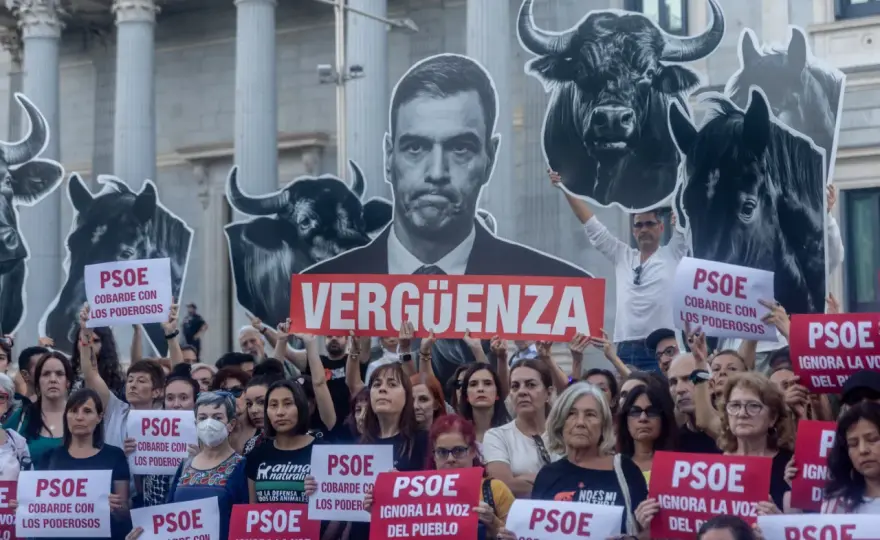 Tierra del Toro - Más allá de la plaza: su cultura y debate