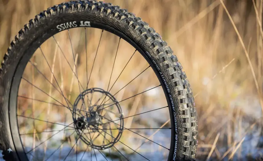 Schwalbe Magic Mary Review - Is It Still the Best MTB Tire?