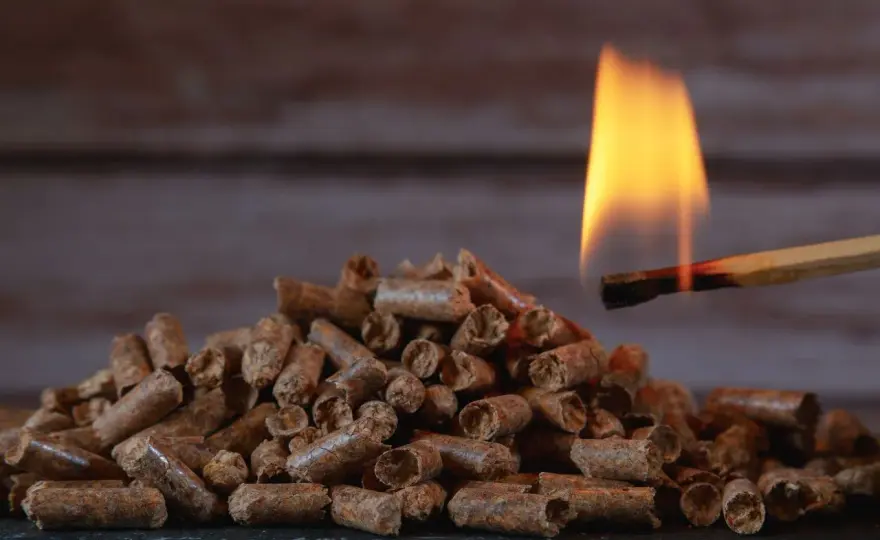 Pellet Barlinek - Znajdź autoryzowanych dystrybutorów i uniknij oszustw