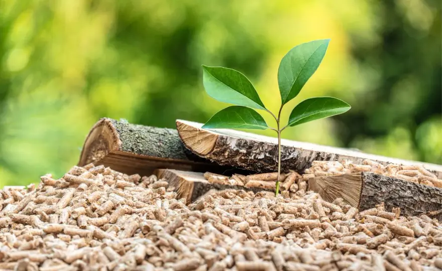 Co to znaczy pellet? Zrozumienie paliwa ekologicznego i jego zastosowań