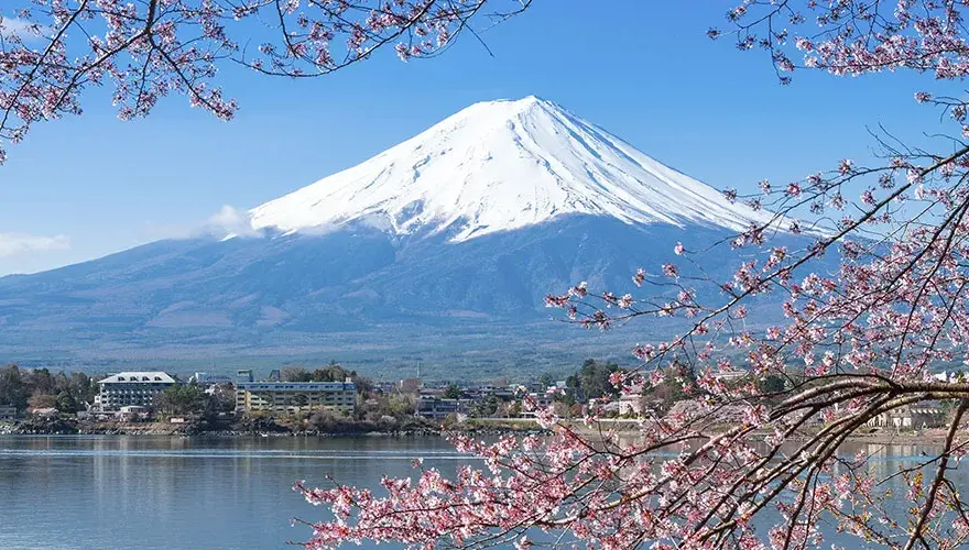 Co może rosnąć w japońskich górach? Odkryj niezwykłą florę Japonii