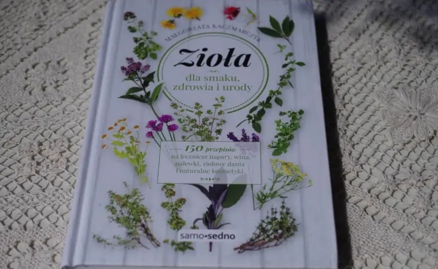 Polskie zioła na herbatę: Od łąki do filiżanki zdrowia i smaku