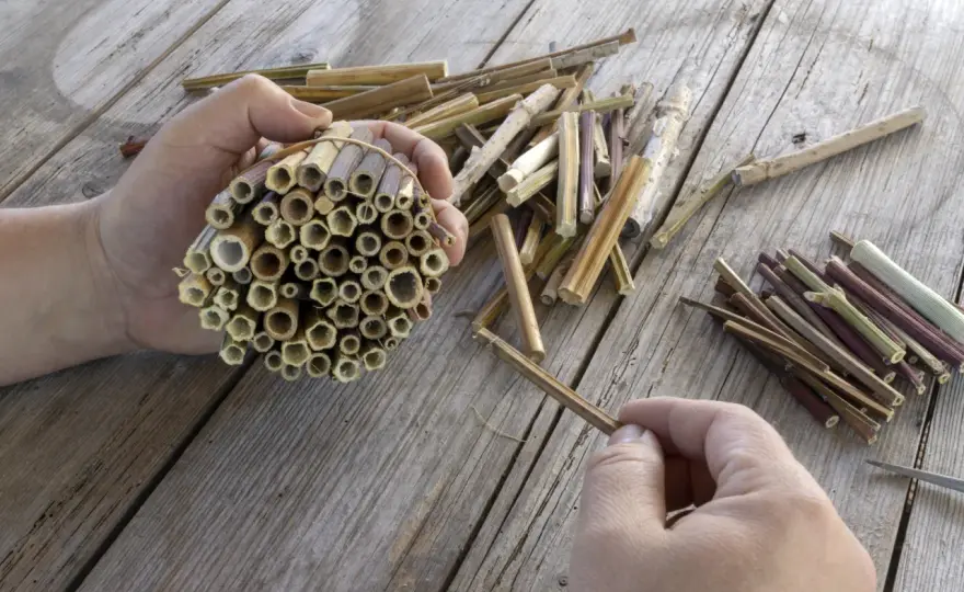 Domek dla owadów z butelki: Prosty DIY dla Twojego ogrodu