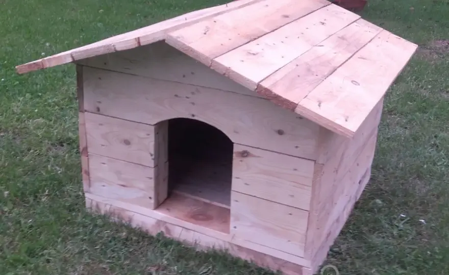 Jak zrobić budę dla psa z palet? Poradnik DIY krok po kroku