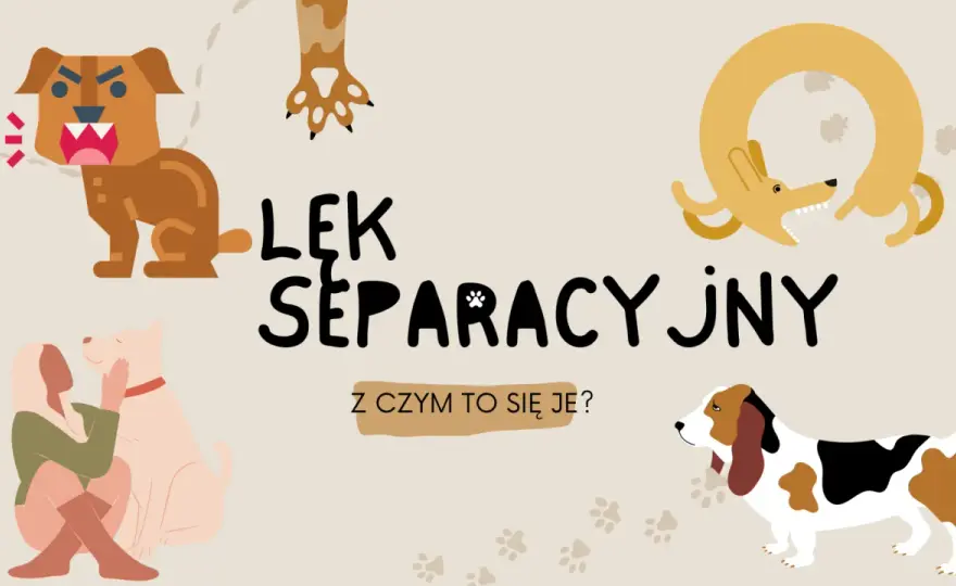 Lęk separacyjny - dzieci, dorośli, psy - jak pomóc?