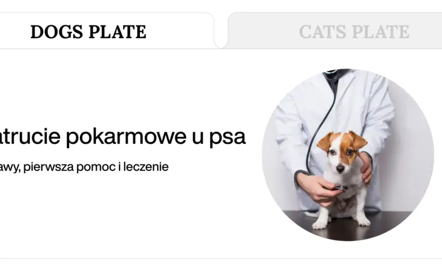 Zatrucie pokarmowe u psa - Jak długo trwa? Kiedy do weta?