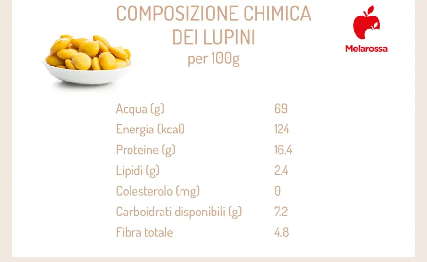 Lupini, come sceglierli, spurgarli e cucinarli bene