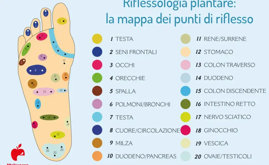 Riflessologia Corporea - Benefici Veri e Aspettative Realistiche