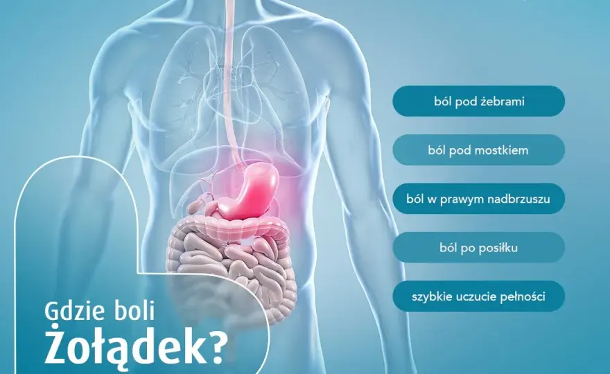 Ból żołądka? Szybka ulga i sygnały, kiedy do lekarza