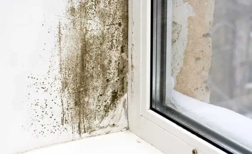 Humidité dans un appartement - ce qu’il faut corriger d’abord