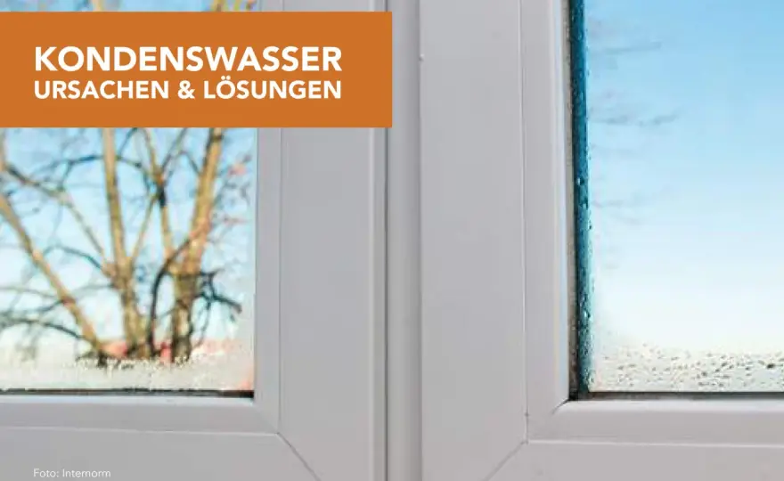 Kondenswasser an der Wand - Ursachen & Lösungen