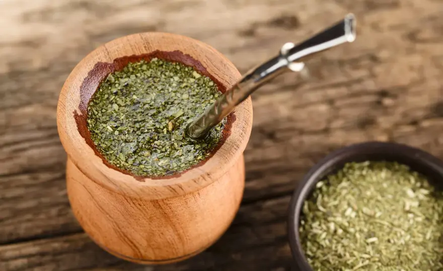 Yerba mate na uspokojenie? Prawda o działaniu i parzeniu