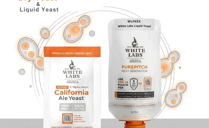 WHC Lab - La levure parfaite pour votre bière artisanale ?