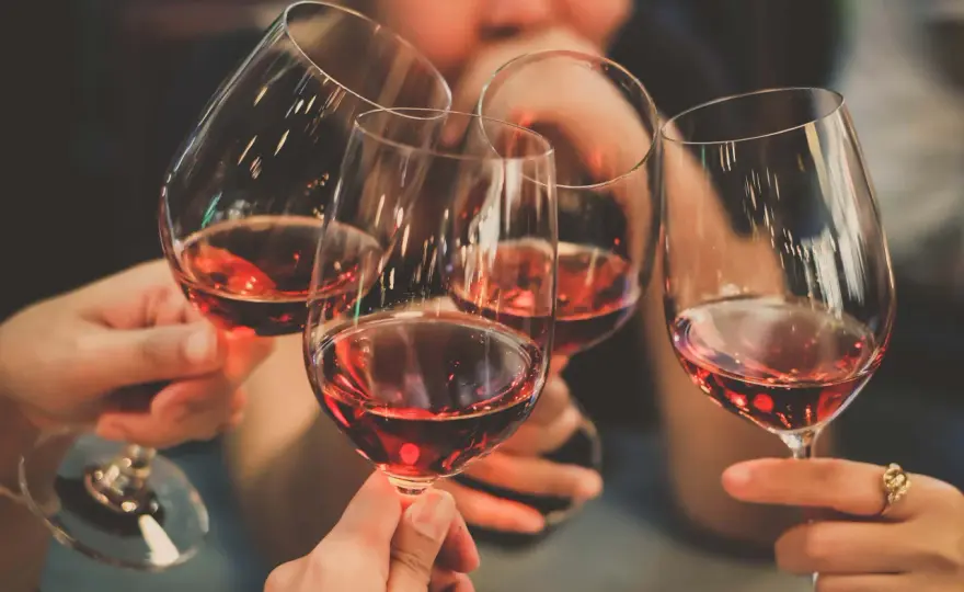 Tout savoir sur le vin - Le guide essentiel pour déguster