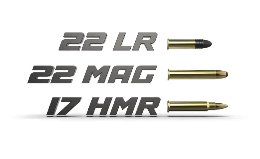 .17 HMR vs .22 LR - Le bon choix pour votre tir?