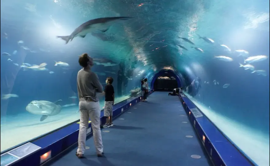 Oceanarium Kołobrzeg - atrakcje, ceny biletów i godziny otwarcia