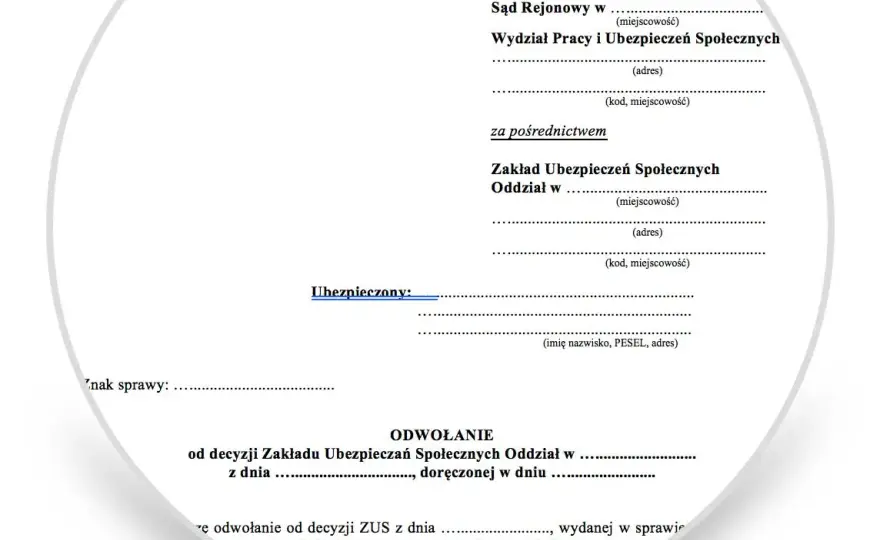 Czy ZUS zawsze składa apelację? Odkryj, kiedy rezygnuje z odwołania