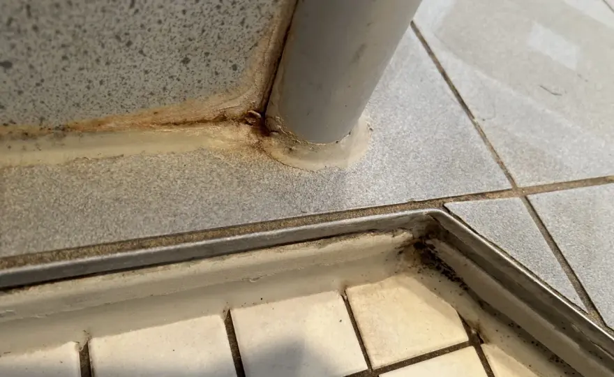 Schimmel in Fliesenfugen - Ursachen & dauerhafte Lösung