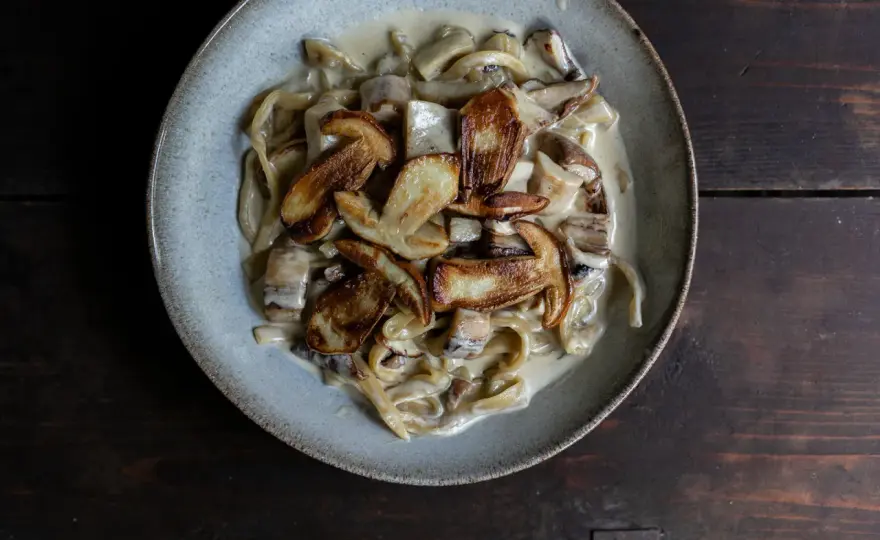 Pilz-Pasta wie in Italien - So gelingt die perfekte Sauce