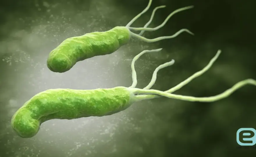 H. pylori w ustach? Sprawdź 7 objawów, które musisz znać!