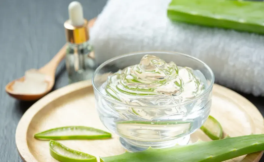 Aloes w kosmetykach - Jak wybrać skuteczny produkt?