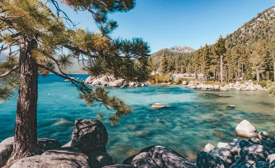 Najlepsze atrakcje w okolicy, które musisz zobaczyć w tym roku