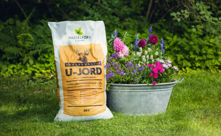 Kalkrik jord - Så lyckas du med din odling!