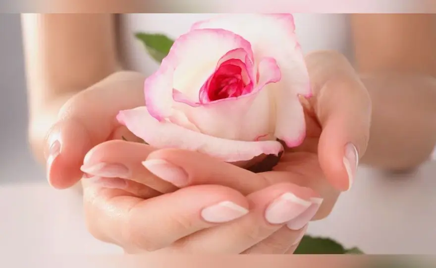 Fleur symbolique - Le langage des fleurs enfin décrypté
