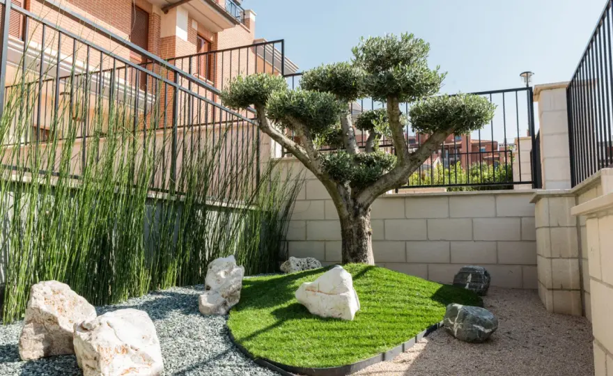 Bordure per Alberi - Proteggi e Abbellisci il Tuo Giardino