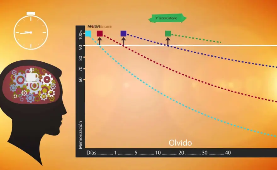Técnicas de estudio para recordar más y olvidar menos