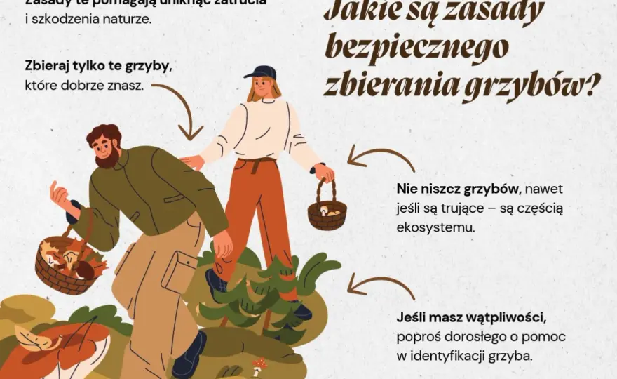 Jak zbieramy grzyby - Poradnik bezpiecznego grzybobrania