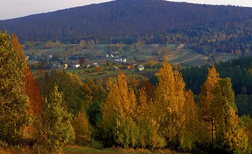 Góry Świętokrzyskie - szlaki, szczyty i plan wycieczki
