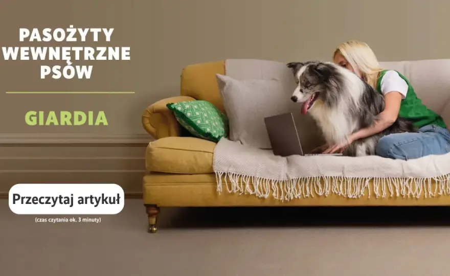 Co na odrobaczanie psa i kota? Wiem, jak ochronić pupila!