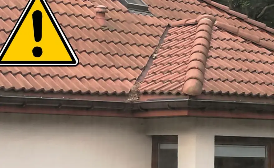 Rynny dachowe - wybór, montaż, błędy. Zadbaj o dach!