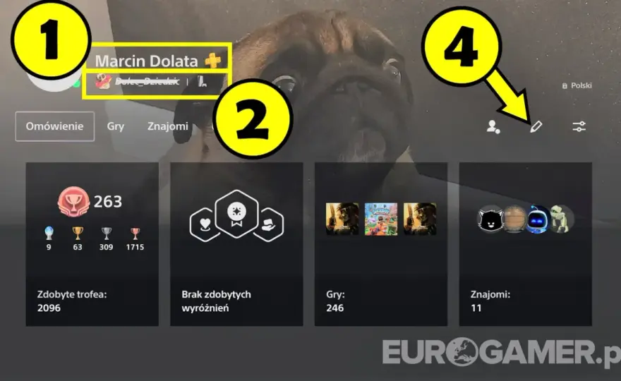 Zmiana nicku w PSN: Czy stracisz trofea? Poradnik i ryzyka