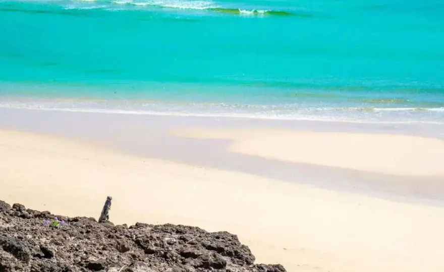 Fuerteventura - Temperatura wody: Kiedy kąpiel to przyjemność?