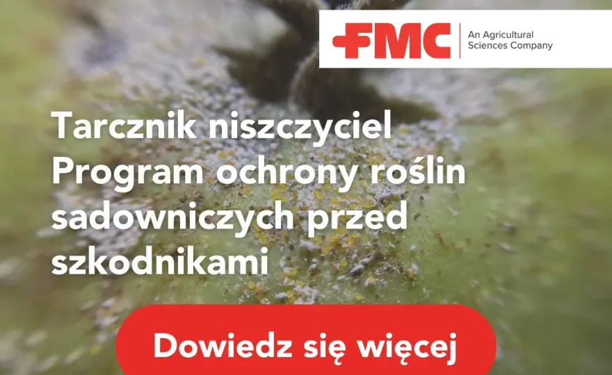Tarczniki - Jak skutecznie zwalczyć? Poradnik krok po kroku