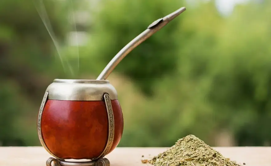 Yerba mate Guarani - Jak wybrać i parzyć? Poradnik