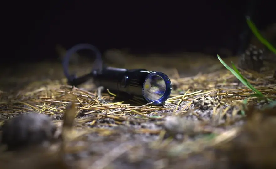 Olight M2R Warrior w survivalu - Czy nadal warto ją mieć?
